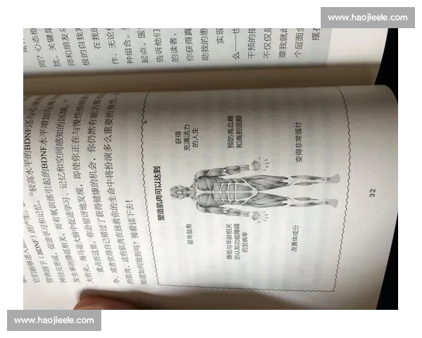 肌肉训练的科学频率：每日锻炼与恢复的平衡之道